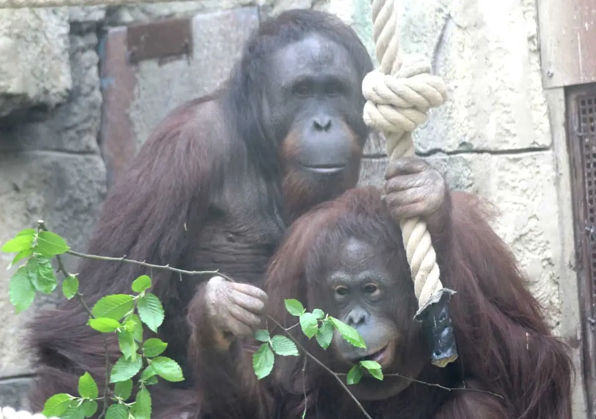 Zoo Osnabrück