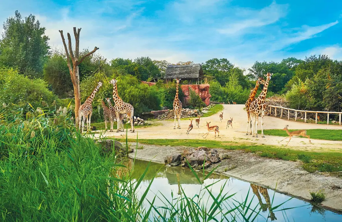 Die ZOOM Erlebniswelt in Gelsenkirchen