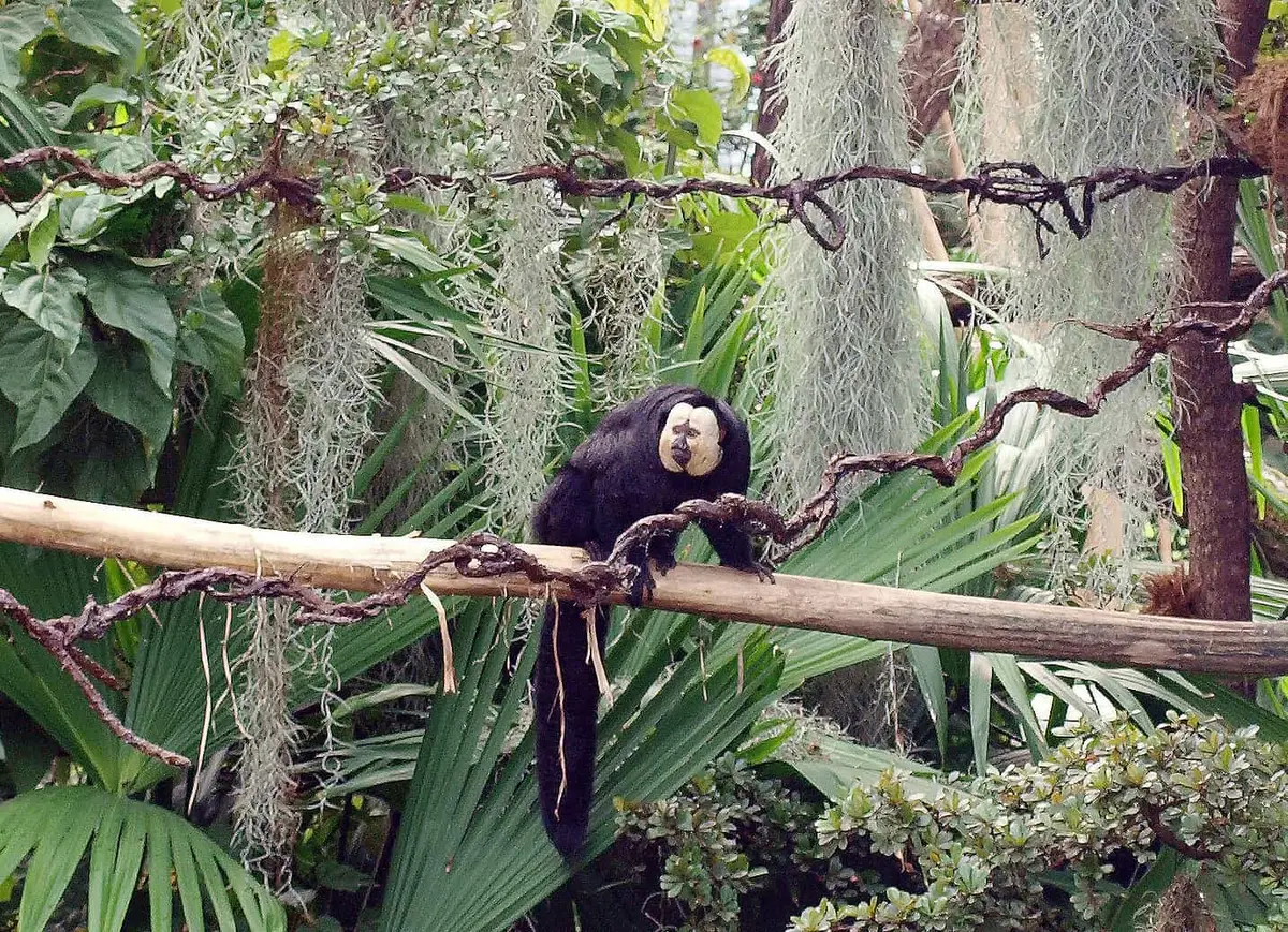 Der Zoo Leipzig