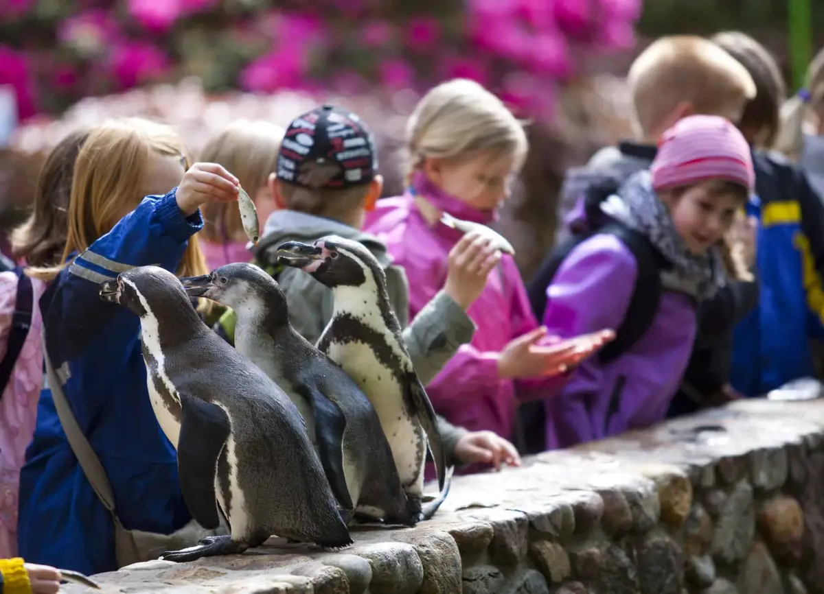 Weltvogelpark Walsrode