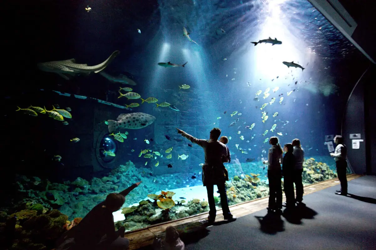 Der Tierpark Hagenbeck in Hamburg