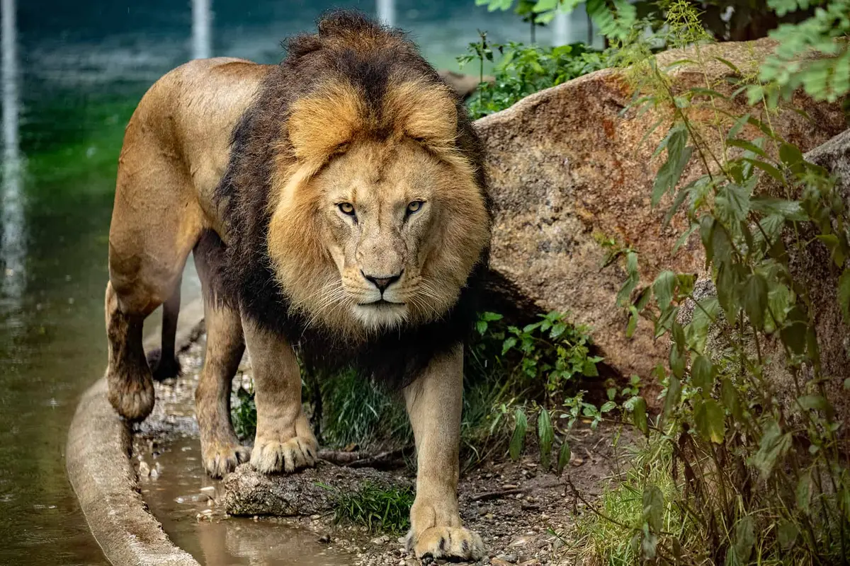 Tierpark Hellabrunn