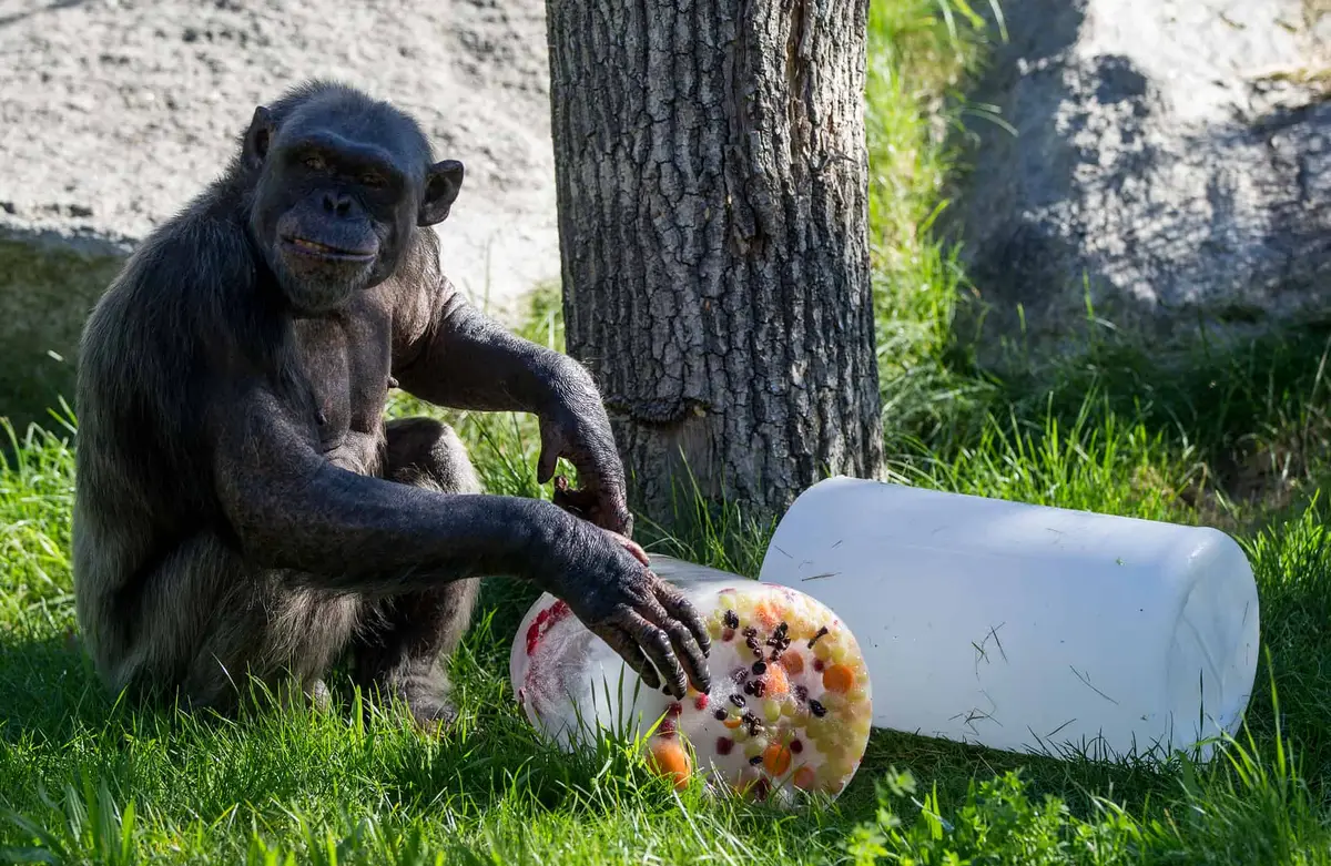 Tierpark Hellabrunn