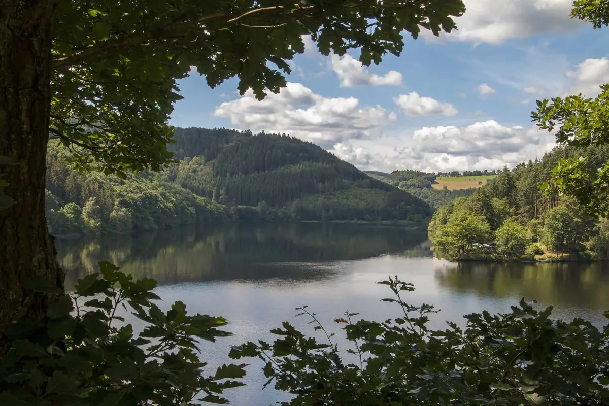 Nationalpark Eifel See