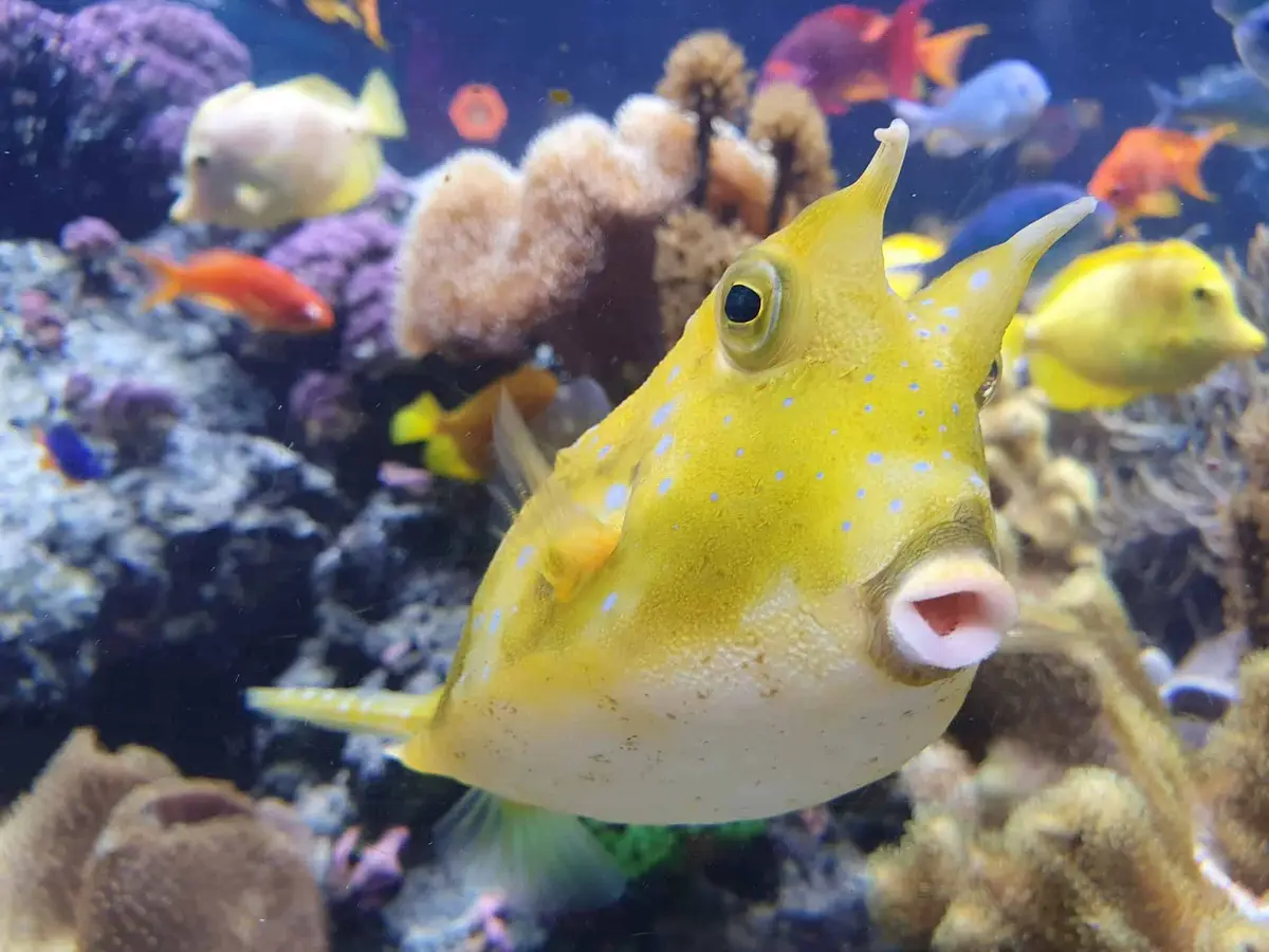 Sea Life Speyer