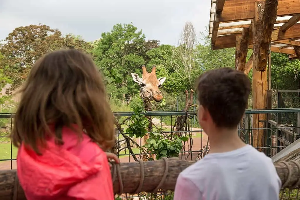 Zoo Magdeburg