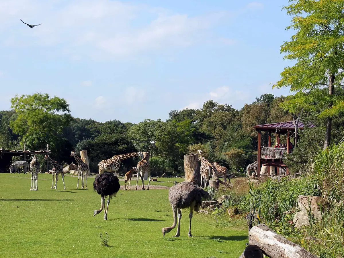 Der Zoo Leipzig