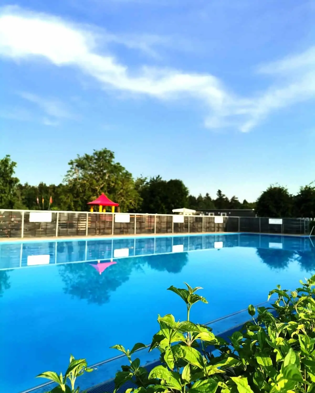 Das Camping-Erbenwald