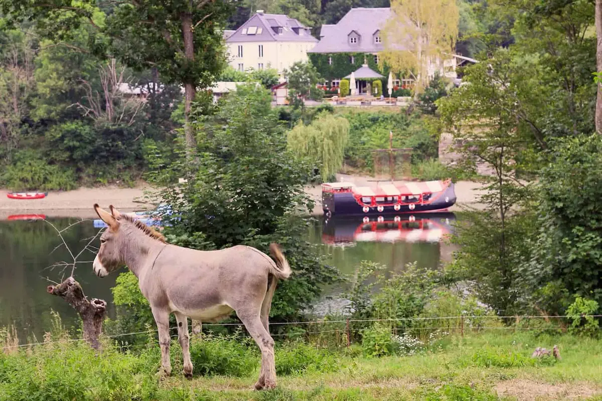 Der Roompot Hohenwarterseehof, Ferienpark in Thüringen
