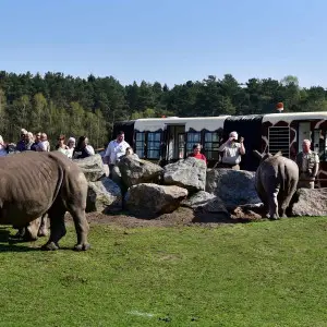 Serengeti Park