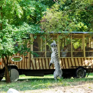 Serengeti Park