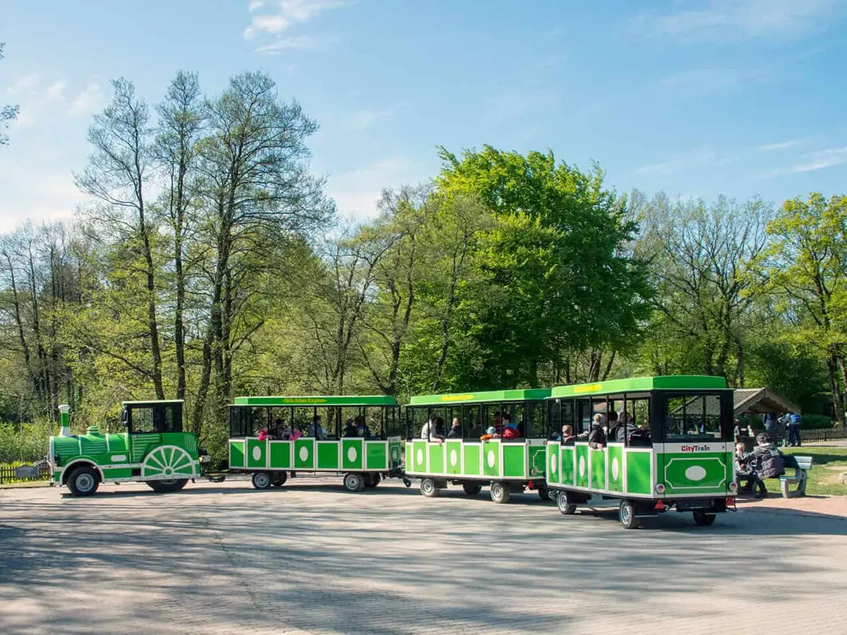 Tolk-Schau