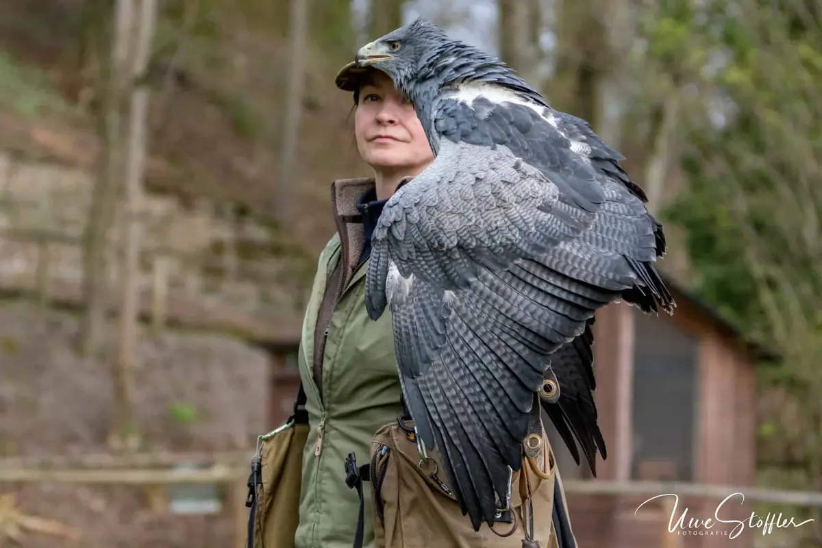 Wild- und Freizeitpark Allensbach
