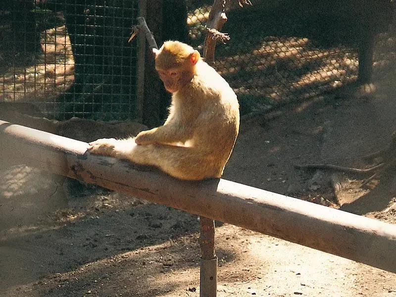 Der Wildpark Willingen