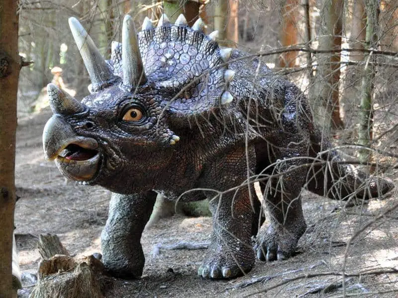 Der Wildpark Willingen