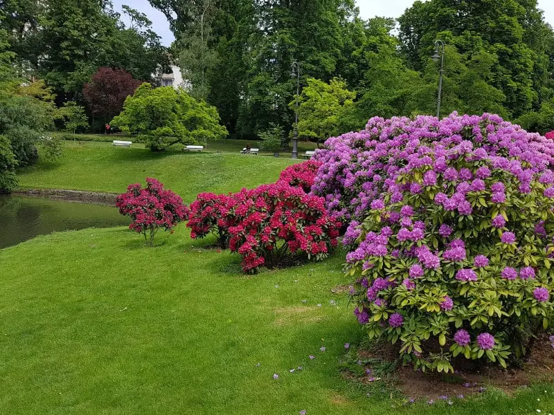 Kurpark in Wiesbaden