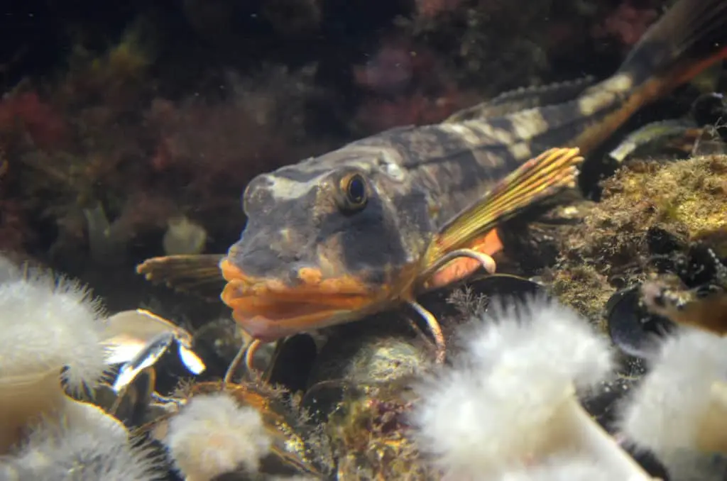 Das Aquarium Wilhelmshaven