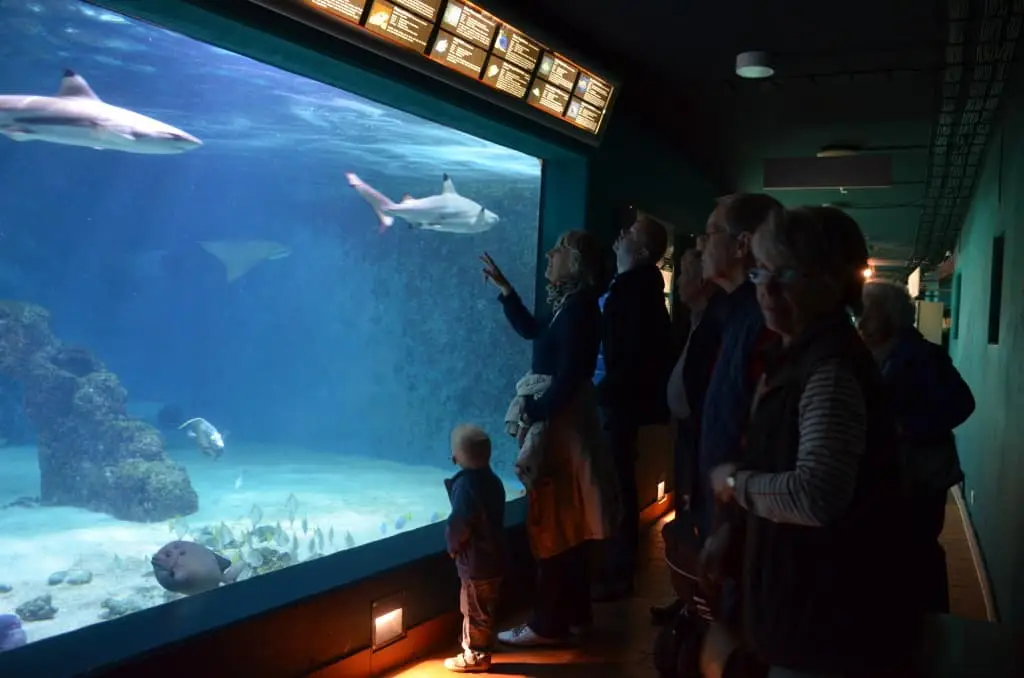 Das Aquarium Wilhelmshaven