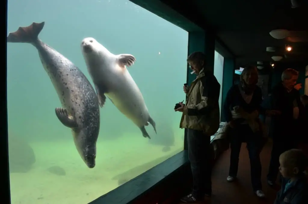 Das Aquarium Wilhelmshaven