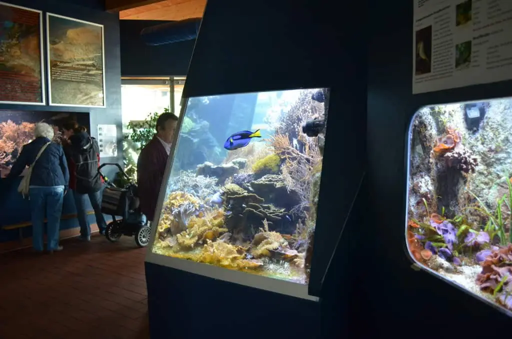Das Aquarium Wilhelmshaven
