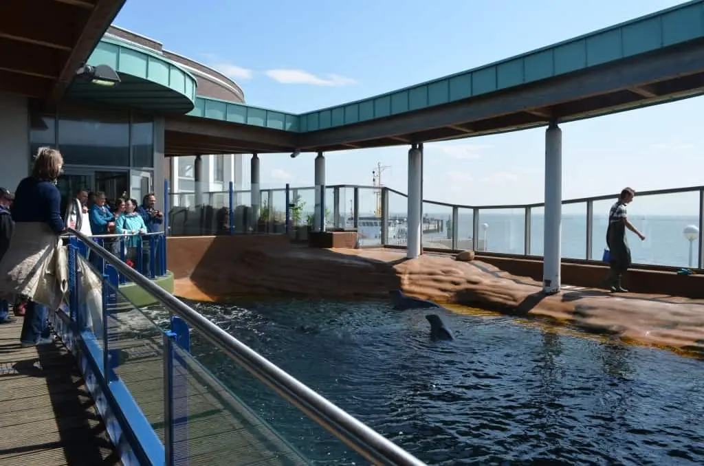 Das Aquarium Wilhelmshaven