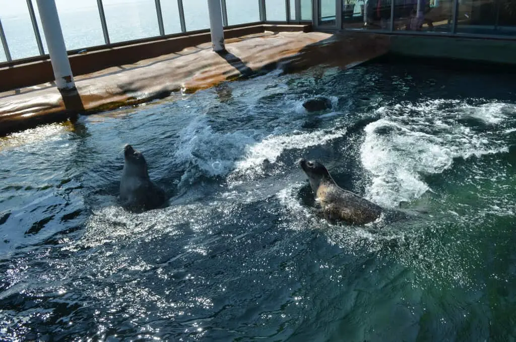 Das Aquarium Wilhelmshaven