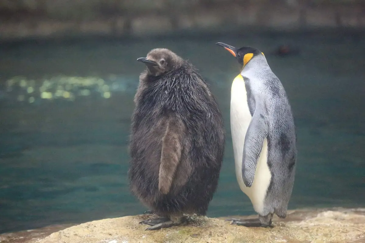 Der Grüne Zoo Wuppertal