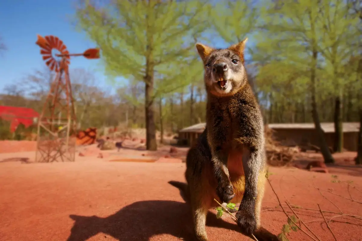 Erlebniszoo Hannover