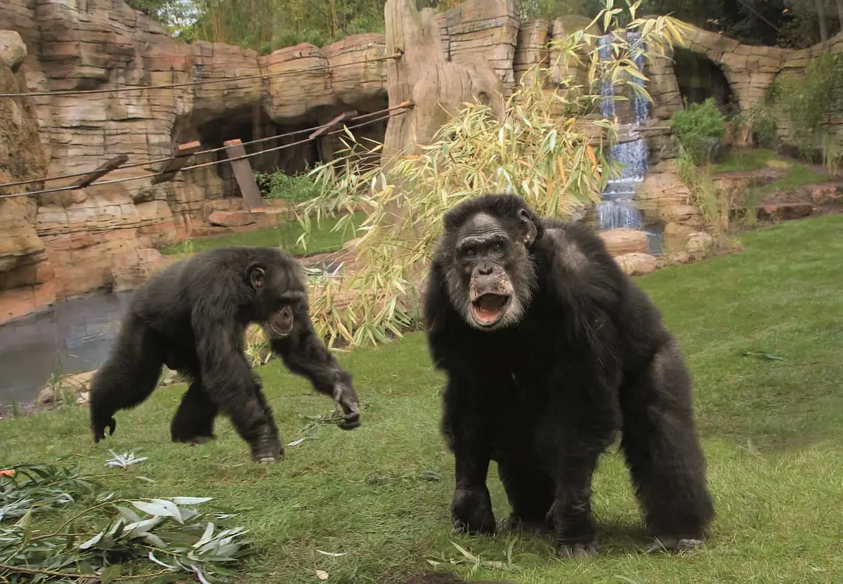 Erlebniszoo Hannover