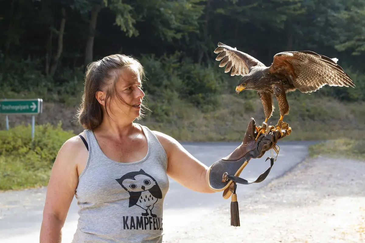 Greifvogelpark Saarburg