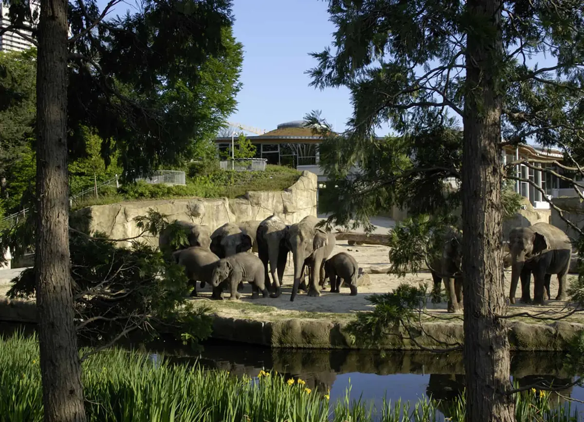 Der Kölner Zoo