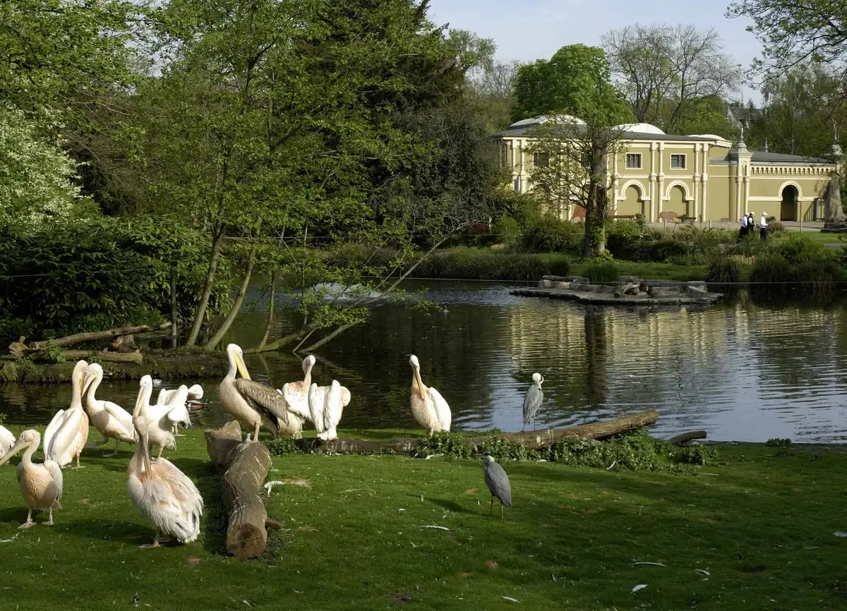 Der Kölner Zoo