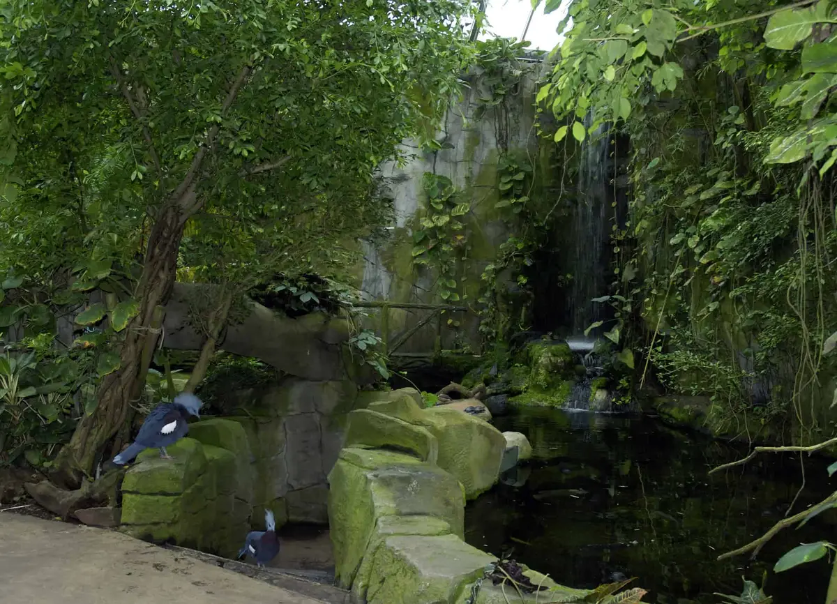 Kölner Zoo