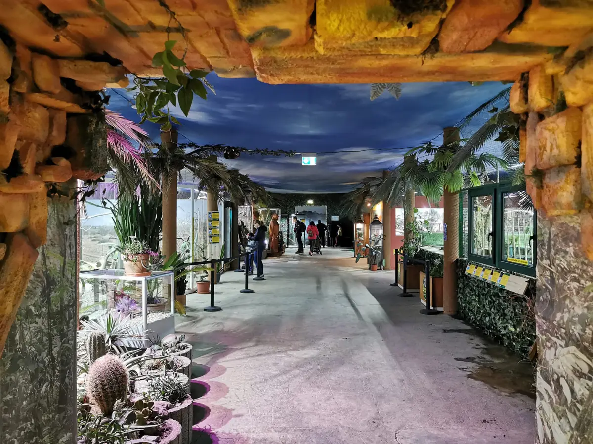Reptilienzoo Allgäu