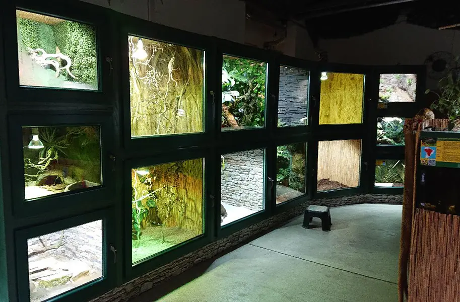 Reptilienzoo Allgäu