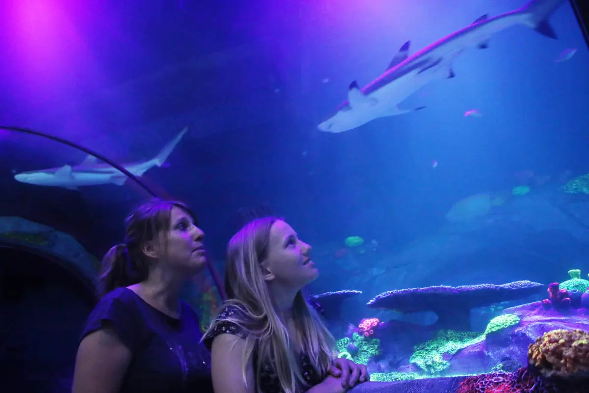Das SEA LIFE Konstanz