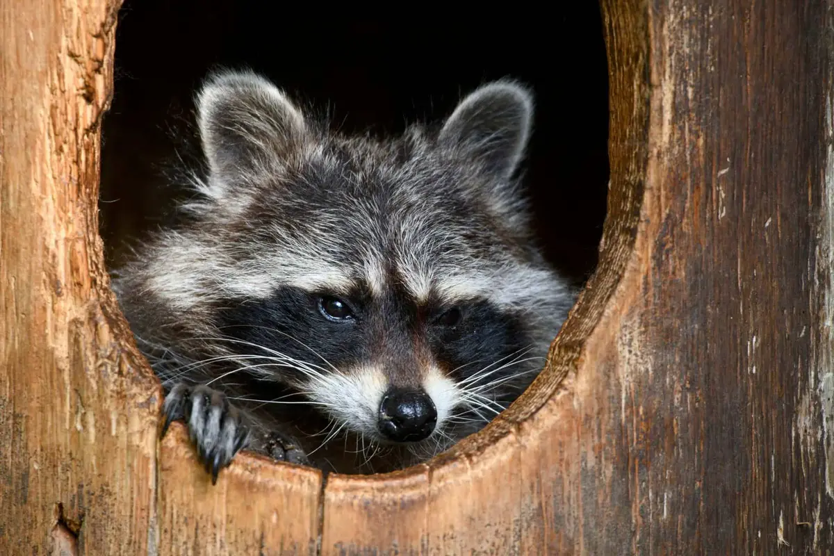© Tierpark Gera