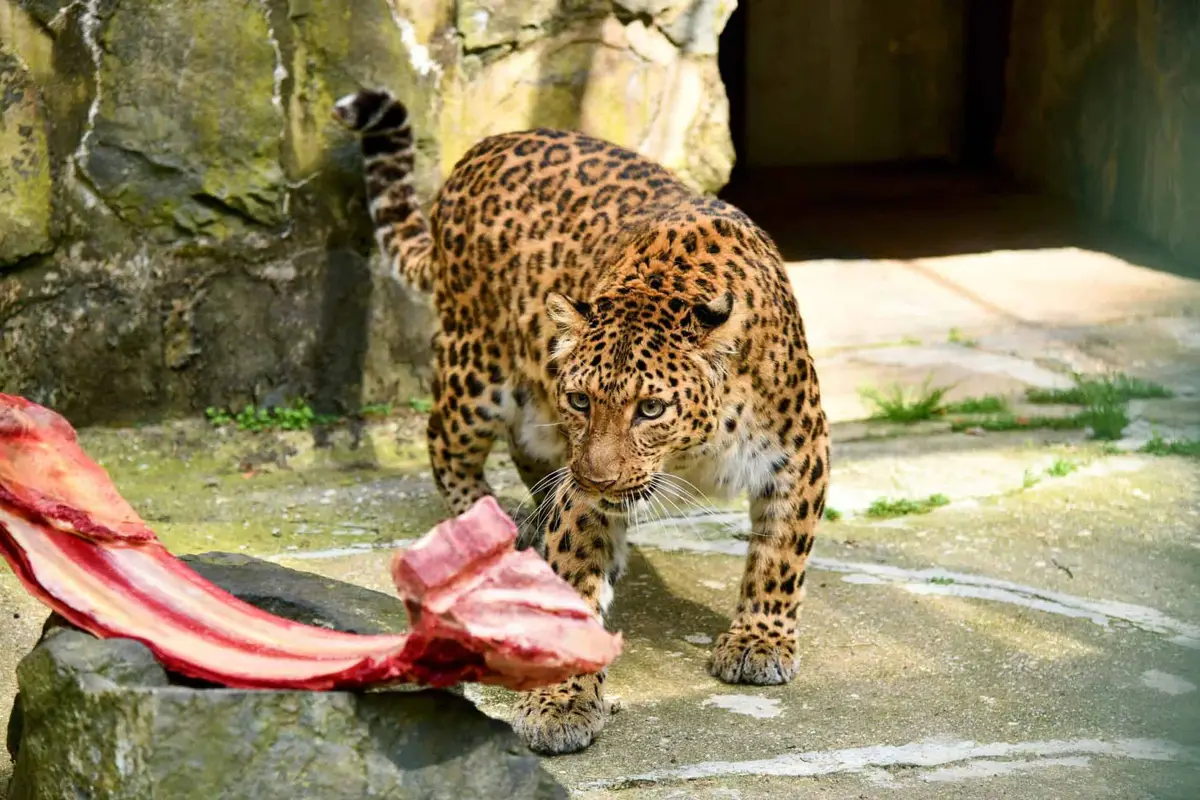 © Tierpark Gera