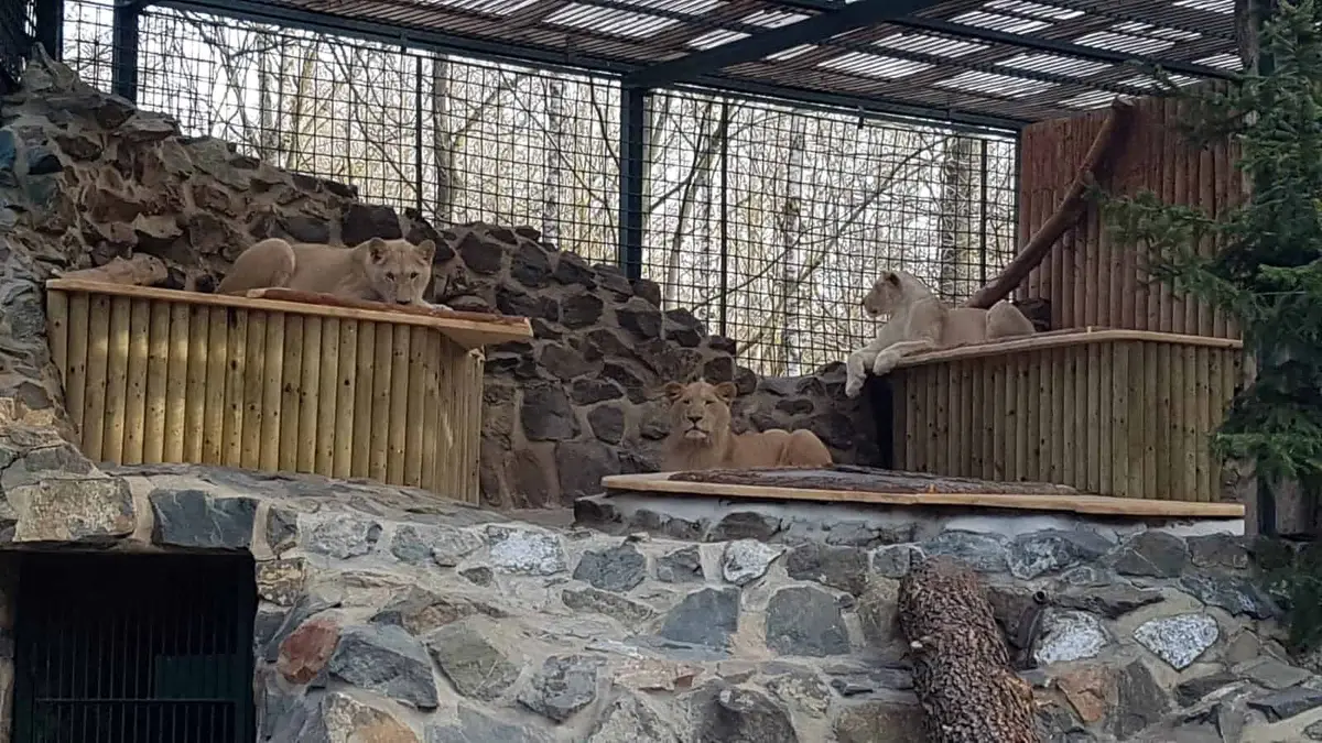 Der Tierpark Gera