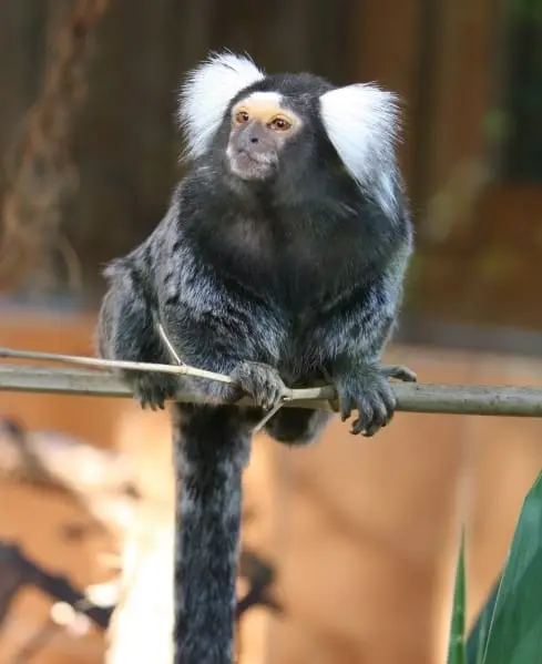 Der Tierpark Göppingen