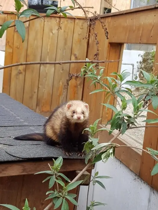 Der Tierpark Göppingen