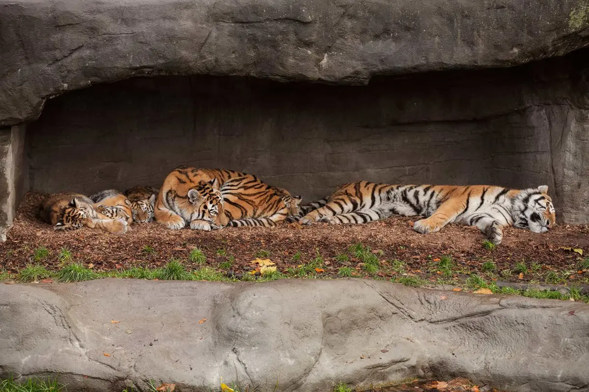 Tierpark Hagenbeck