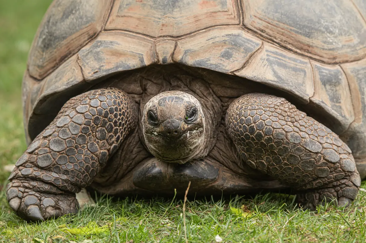 Tierpark Hagenbeck