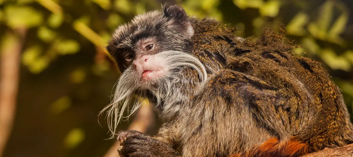 Tierpark Hagenbeck