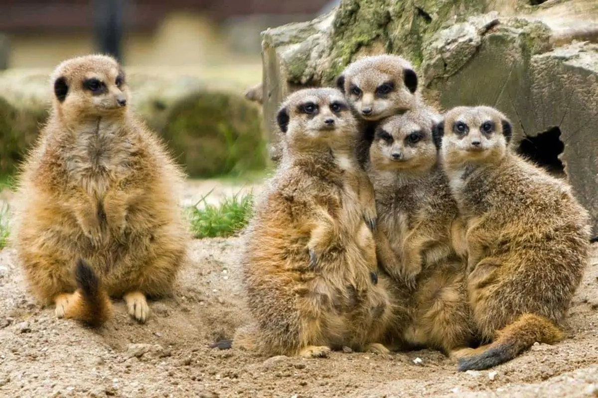 Tierpark Irgenöd