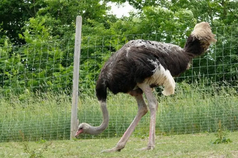 Tierpark Irgenöd