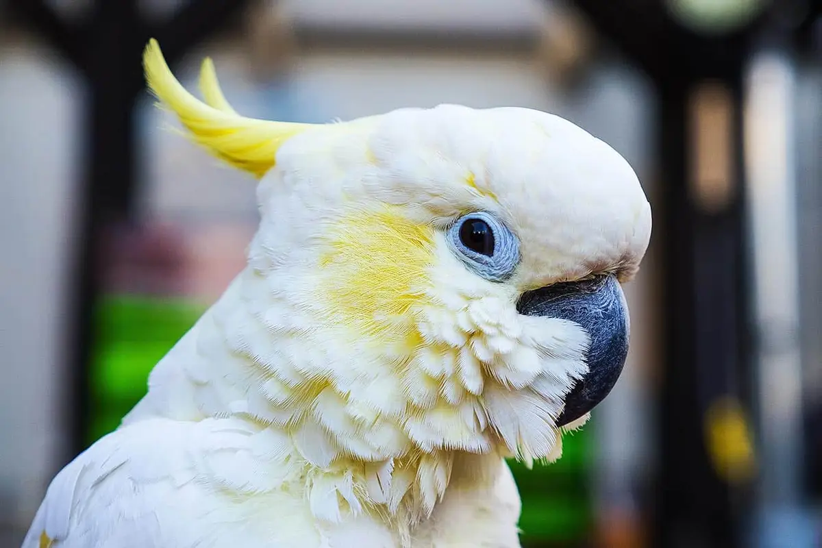 Tierpark Irgenöd