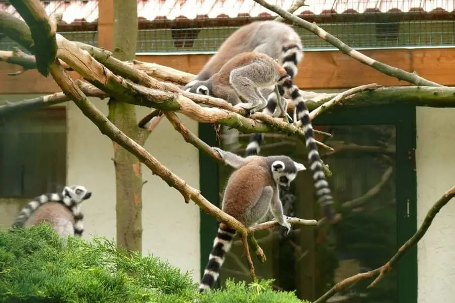 Tierpark Irgenöd