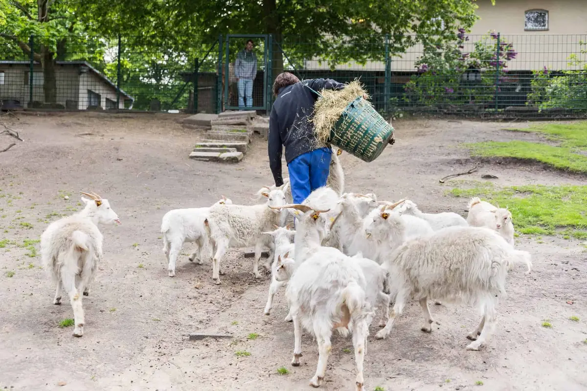 Tierpark Neukölln