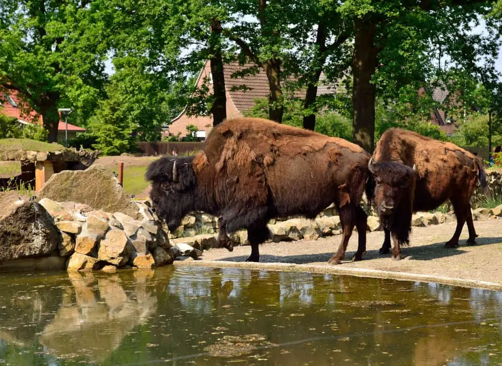 Der Tierpark Nordhorn